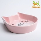 Миска керамическая "Голова кота 2" 200 мл, 15 x 13 x 3 cм, розовая 9214855 - фото 16257790