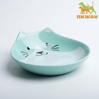 Миска керамическая «Голова кота 3» 260 мл 15.5×14.5×5 см, зелёная - Фото 2