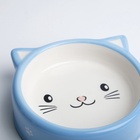 Миска керамическая «Голова кота» 150 мл - 12.5×12.5×4 см, голубая/белая - Фото 5