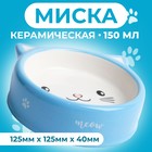 Миска керамическая "Голова кота 4" 150 мл, 12,5 x 4 cм, бело-синяя - фото 321451748