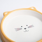 Миска керамическая «Голова кота» 200 мл - 15×15×3.5 см, белая/жёлтая - Фото 4