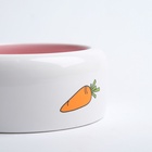 Миска «Заяц», 200 мл, 11×11×4.6 см, керамика, белая, розовая - Фото 5