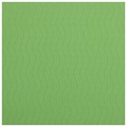 Коврик для йоги Sangh Tropics, 183х61х0,6 см, цвет зелёный - Фото 18