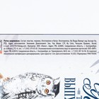 Ручка шариковая на выпускной в тубусе «В добрый путь!» пластик, синяя паста, 1.0 мм - Фото 5