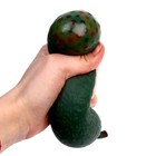 Антистресс сквиш мялка «Авокадо», с гидрогелем, в шоубоксе - Фото 5