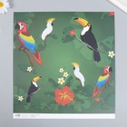 Бумага для скрапбукинга "Экзотические птицы" плотность 180 гр 30,5х32 см - Фото 2