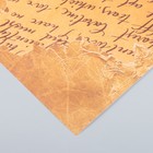 Бумага для скрапбукинга "Старинная рукопись" плотность 180 гр 30,5х32 см - Фото 3