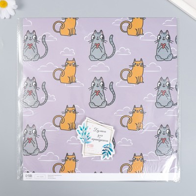 Бумага для скрапбукинга «Котики», плотность 180 г, 30.5×32 см