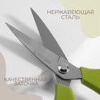 Ножницы закройные, скошенное лезвие, 8", 21 см, цвет МИКС, УЦЕНКА - Фото 2