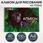 Альбом для рисования 40 листов А4 на пружине «1 сентября: Пантера» обложка 200 г/м2, бумага 100 г/м2. - фото 2775214