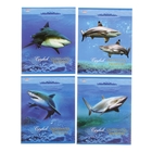 Тетрадь 48 листов клетка "Акулы", картонная обложка, лён, 4 вида МИКС - Фото 1