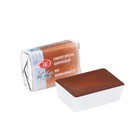 Акварель художественная в кювете 2.5 мл «ЗХК. Белые ночи», гематит красно-коричневый 1911386 - Фото 2