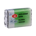 Акварель художественная в кювете 2.5 мл, ЗХК "Белые ночи", жёлто-зелёная дымка, 1911763 - фото 22125494