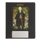 Тетрадь 12 листов в клетку "Гарри Поттер", обложка мелованный картон, блок офсет 65, 5 видов МИКС - Фото 4
