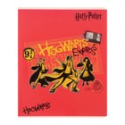 Тетрадь 48 листов в клетку "Гарри Поттер", обложка мелованный картон, блок офсет 65, 5 видов МИКС - Фото 2