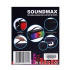 Портативная колонка Soundmax SM-PS5081B, 30 Вт, 3600мАч, FM, BT, USB, TWS, подсветка, черная - фото 9277261