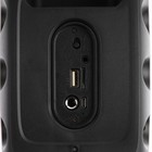 Портативная колонка Telefunken TF-PS1237B, 15Вт, 1500мАч, FM,BT, USB, TWS, подсветка, черная - фото 51327014 Портативная колонка Telefunken TF-PS1237B, 15Вт, 1500мАч, FM,BT, USB, TWS, подсветка, черная - фото 51327014