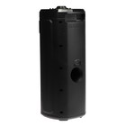 Портативная колонка Soundmax SM-MS4207, 80Вт, 3600мАч, FM, BT, USB, TWS, подсветка, черная - фото 51327023