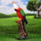 Садовая фигура "Попугай на ветке" 36см - фото 298729410