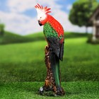 Садовая фигура "Попугай на ветке" 36см - Фото 2