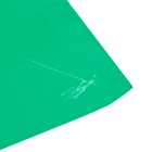 Ящик почтовый без замка (с петлёй), горизонтальный «Письмо», зелёный - Фото 7