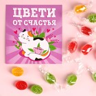 Леденцы «Цвети от счастья» с открыткой, вкус: ассорти, 30 г. 9398553 - фото 10386035