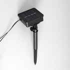 Гирлянда «Нить» 2.7 м с насадками «Шары», IP44, тёмная нить, 10 LED, свечение мульти, 8 режимов, солнечная батарея 9399597 - фото 16445639