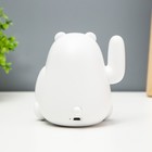 Ночник "Мишка манеки машет лапой" LED 6000К USB АКБ белый 11х9х11см RISALUX - фото 22127837