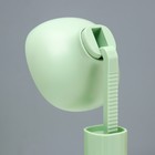 Настольная лампа «Фонтера» LED 3000К-6000К 5 Вт USB АКБ МИКС 10×8×20-26 см RISALUX - Фото 15