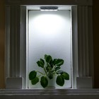 Ночник-пушлайт  "Изгибы " 4хLED 3ААА хром 19х2х2 см RISALUX - фото 22127999