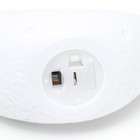 Ночник "Зайчик" LED от батареек белый 13,5х10 см RISALUX - фото 8995963