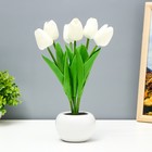 Ночник "Белые тюльпаны" LED 1,2Вт 4000К белый 9х9х25см RISALUX - фото 319376163