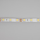 Cветодиодная лента Ecola PRO 5 м, IP65, SMD5050, 60 LED/м, 14.4 Вт/м, 12 В, 4200К - Фото 6