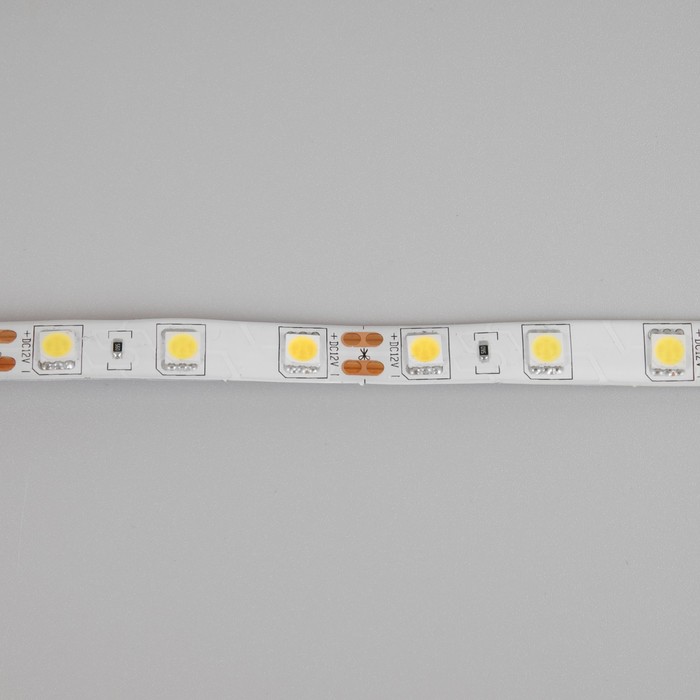 Cветодиодная лента Ecola PRO 5 м, IP65, SMD5050, 60 LED/м, 14.4 Вт/м, 12 В, 4200К - фото 1884146144