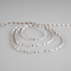 Cветодиодная лента Ecola PRO 5 м, IP20, SMD5050, 30 LED/м, 7.2 Вт/м, 24 В, 6000К - Фото 2