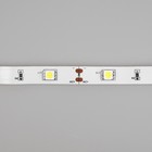 Cветодиодная лента Ecola PRO 5 м, IP20, SMD5050, 30 LED/м, 7.2 Вт/м, 24 В, 6000К - Фото 5