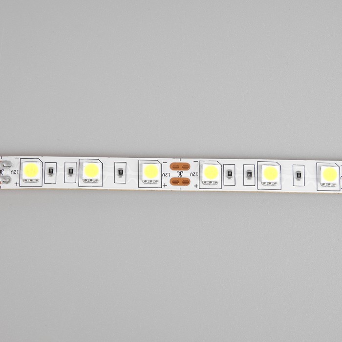 Светодиодная лента Ecola PRO 50 м, IP20, SMD5050, 60 LED/м, 14.4 Вт/м, 12 В, 6000К - фото 1906236033
