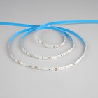 Светодиодная лента Ecola PRO 50 м, IP20, SMD5630, 60 LED/м, 19 Вт/м, 12 В, 6000К - фото 299336377