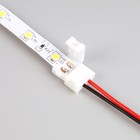 Светодиодная лента Ecola PRO 50 м, IP20, SMD3528, 60 LED/м, 4.8 Вт/м, 12 В, 4200К - Фото 3