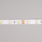 Светодиодная лента Ecola PRO 50 м, IP20, SMD3528, 60 LED/м, 4.8 Вт/м, 12 В, 4200К - Фото 5