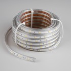 Светодиодная лента Ecola 14 × 7 мм, 10 м, IP68, SMD5050, 30 LED/м, 7.2 Вт/м, 220 В, 2800К - Фото 3