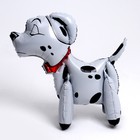 Шар фольгированный 18" «Долматинец-мини» - фото 24385228