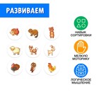 Сортер-копилка «Животные леса и фермы» - фото 24456386