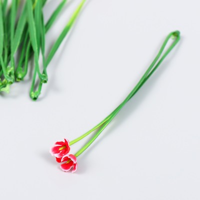 Декор для творчества «Эрантис», набор 10 шт., красный, 14.5 см