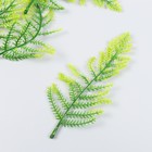 Декор для творчества "Листья лесного папоротника" набор 5 шт зелёный 15 см - фото 6868570