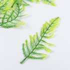 Декор для творчества "Листья лесного папоротника" набор 5 шт зелёный 15 см - фото 6868571