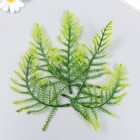Декор для творчества "Листья лесного папоротника" набор 5 шт зелёный 15 см - Фото 3