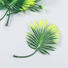 Декор для творчества "Лист пальмы на стебле" набор 5 шт зелёный градиент 8х13,5 см - фото 319377130