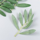 Декор для творчества "Длинные листики на веточке" набор 4 шт зелёный 17 см - фото 22129174