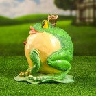 Садовая фигура "Лягушка толстая с короной" 20х17см - Фото 2